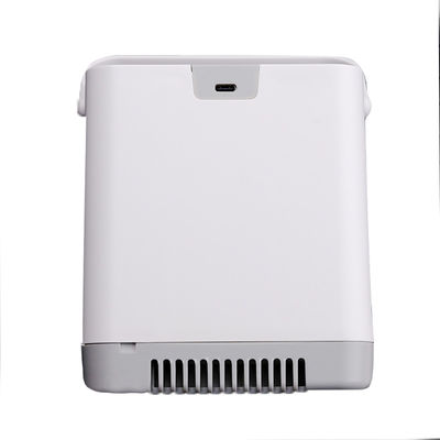 Portable Mini Oxygen Concentrator Machine Spare Parts with Air Ionizer